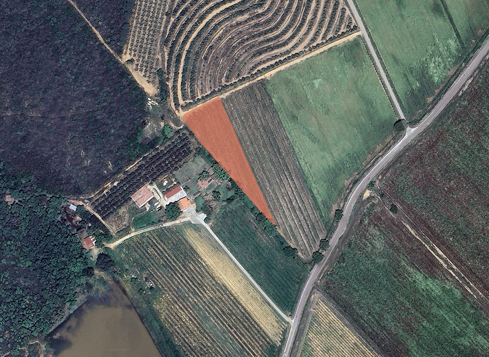 Our Semidana field